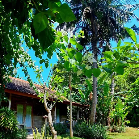 Penida Social House Villas And Sports Bar